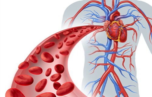 angiologos cerca de mi ubicación